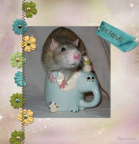 Rat Friend